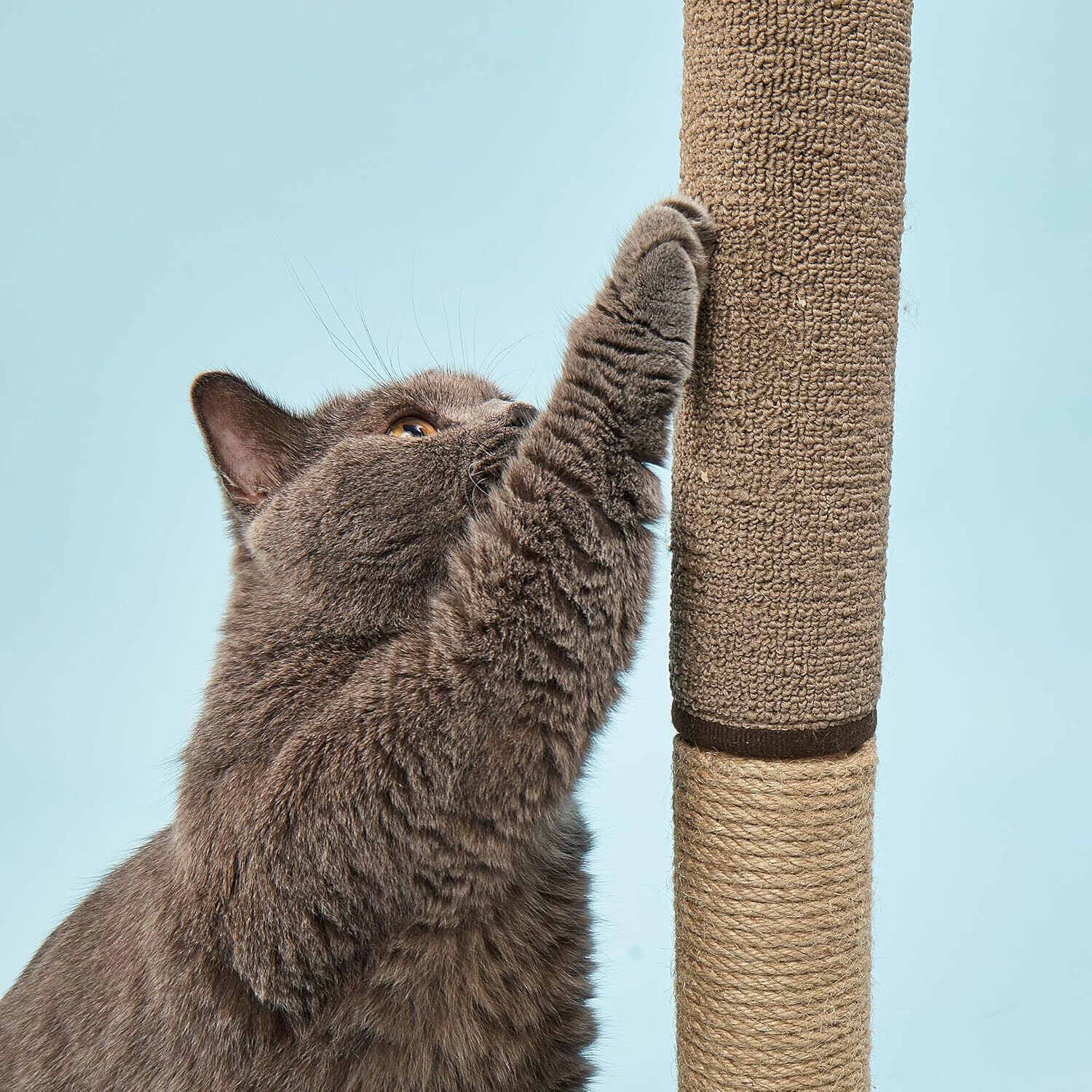 FOFOS | Rascador Palma - Para Gato, , large Imagen numero 4