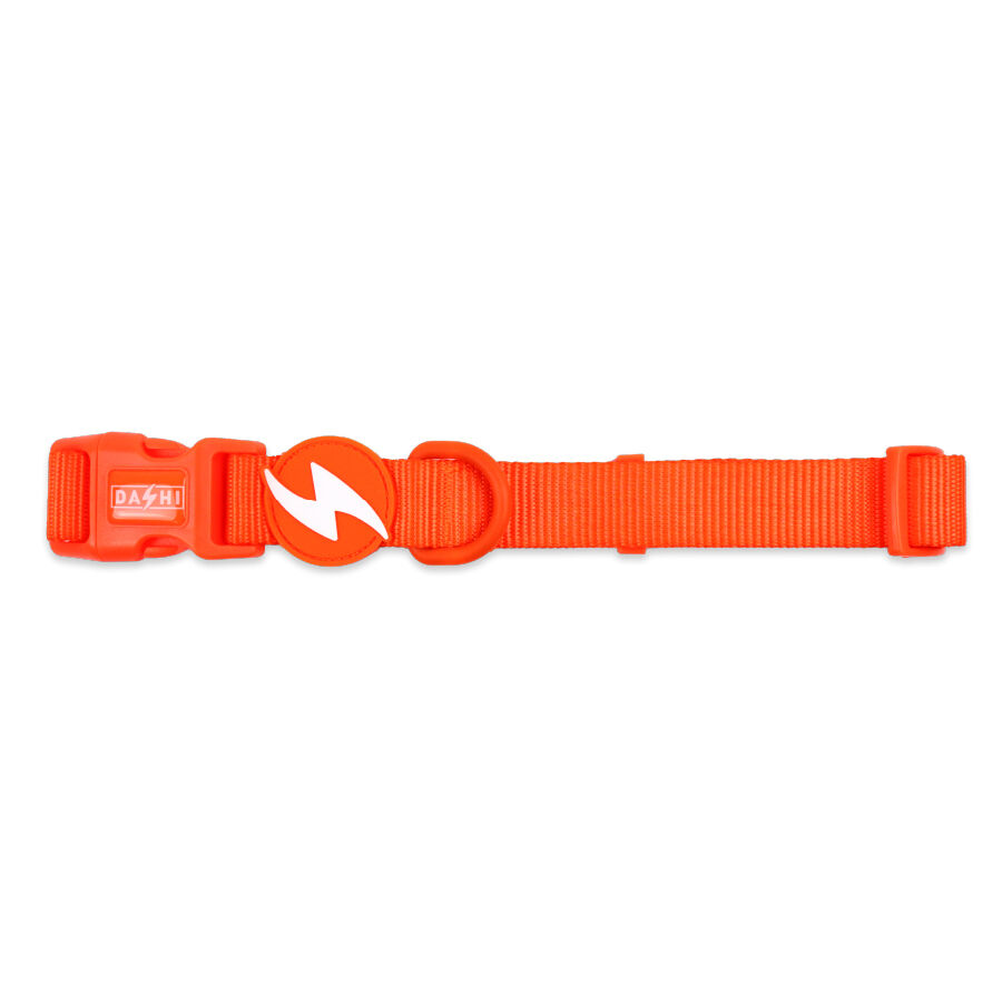 Collar Neon Naranja, , large Imagen numero 2