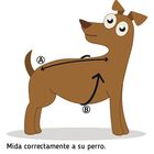 Ibañez Mochila Alforja Estampada Huesos para perros, , large image number null