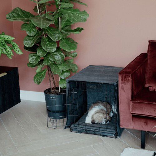 District70 Crate Jaula Plegable para perros, , large Imagen numero 8