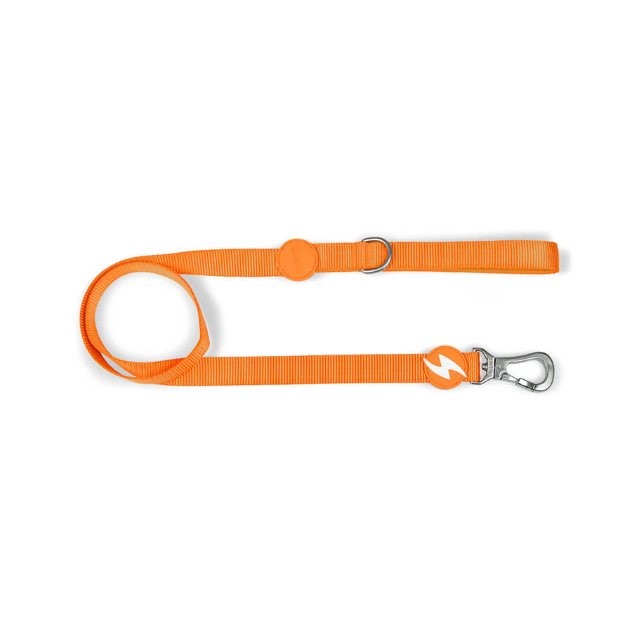 Correa de nylon para perros color Naranja, , large Imagen numero 1