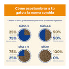Cat Chow Adult Salmón pienso, , large image number null