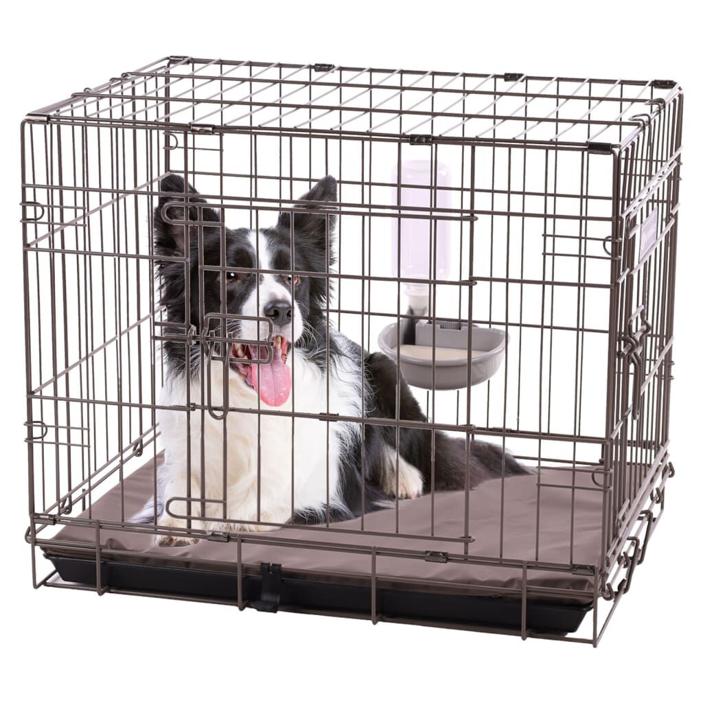 Bebedero Para Perros, , large Imagen numero 2