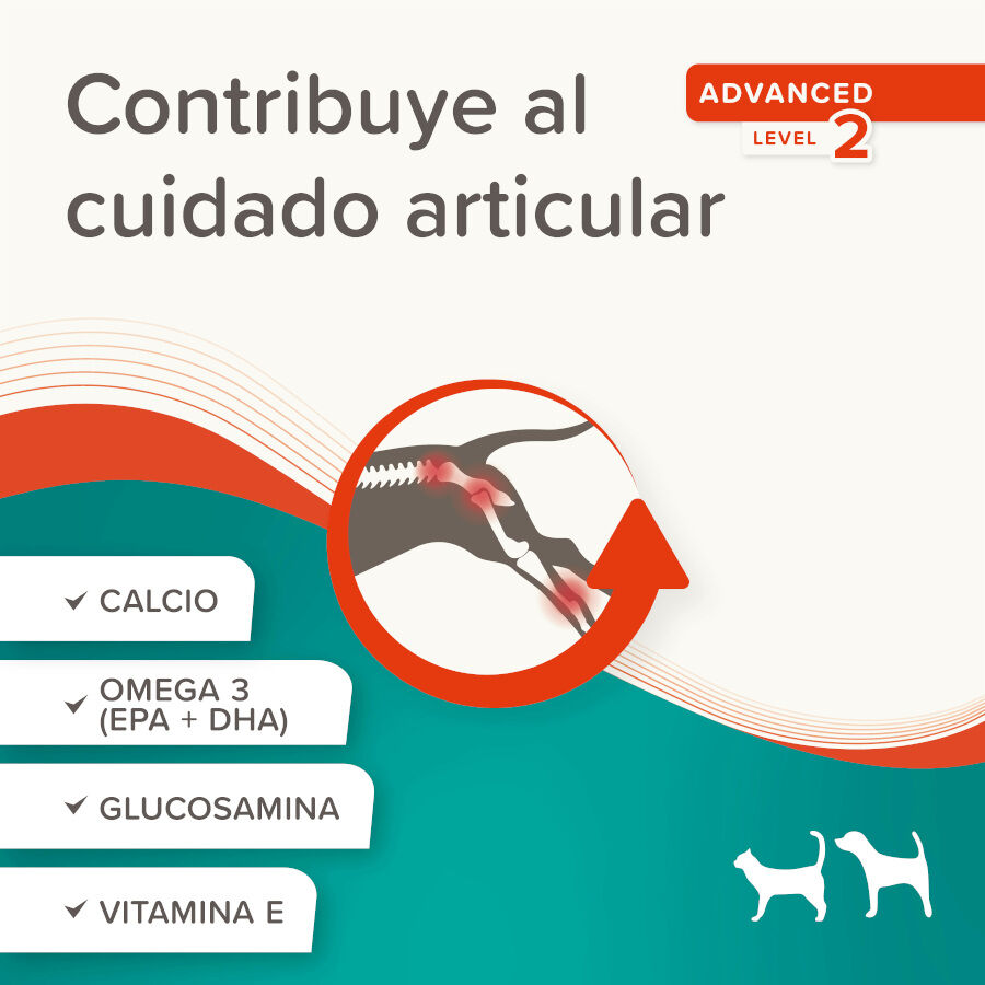 Beaphar Pasta Flexifit para perros y gatos thumbnail