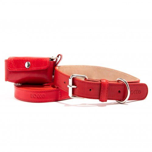 Loyal set collar rocco rojo para perros, , large Imagen numero 1