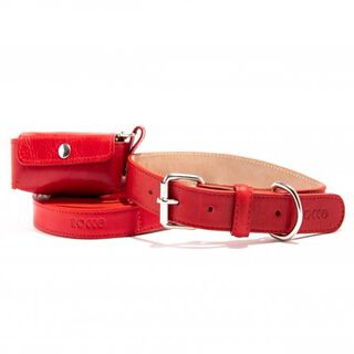 Loyal set collar rocco rojo para perros