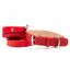 Loyal set collar rocco rojo para perros, , large indicador imagen numero 1