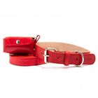 Loyal set collar rocco rojo para perros, , large image number null
