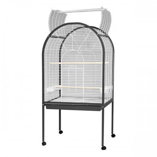 Jaula Foggia Antigua para pájaros