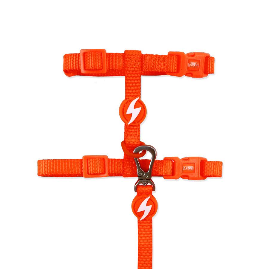 Arn&eacute;s + Correia para gatos Neon Naranja, , large Imagen numero 1