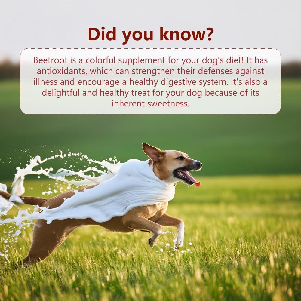 Nature's Sip para perros: leche de camello con manzana, coco, remolacha y menta (150 g/5,29 oz), , large Imagen numero 5