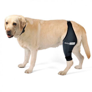 Ortocanis Protector negro de rodilla derecha para perros