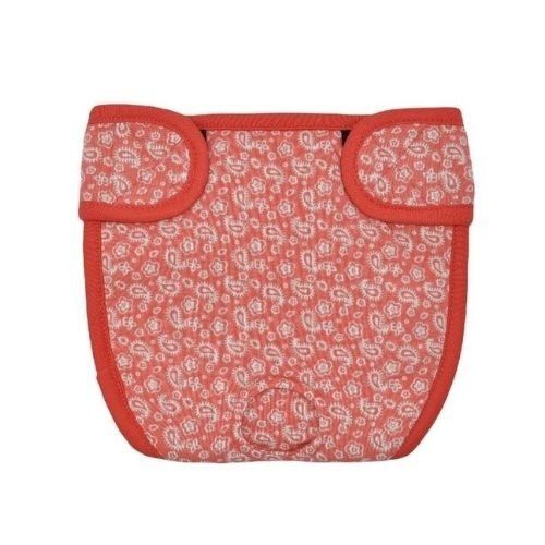 Loyal braguitas celo naranja para perros, , large Imagen numero 3