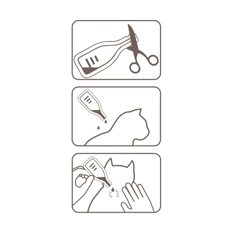 Beaphar Fiprotec Pipetas Antiparasitarias para gatos, , large image number null