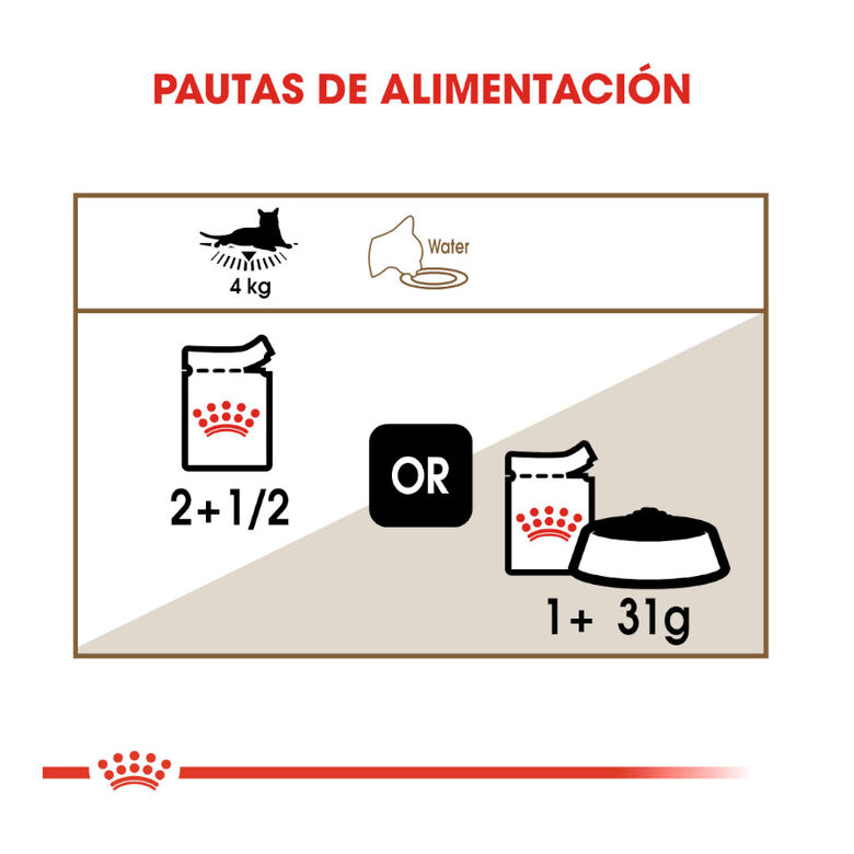 Royal Canin Ageing 12+ gelatina sobres para gatos thumbnail