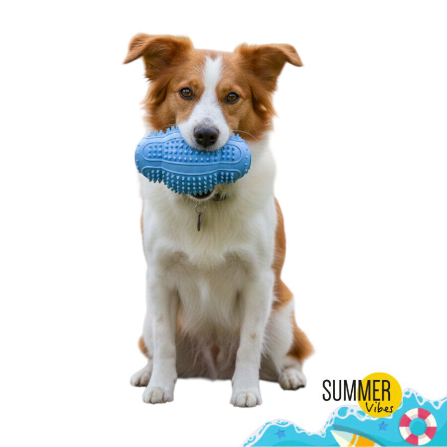 Summer Vibes Pelota Rugby Mordedor Juguete para perros, , large Imagen numero 7