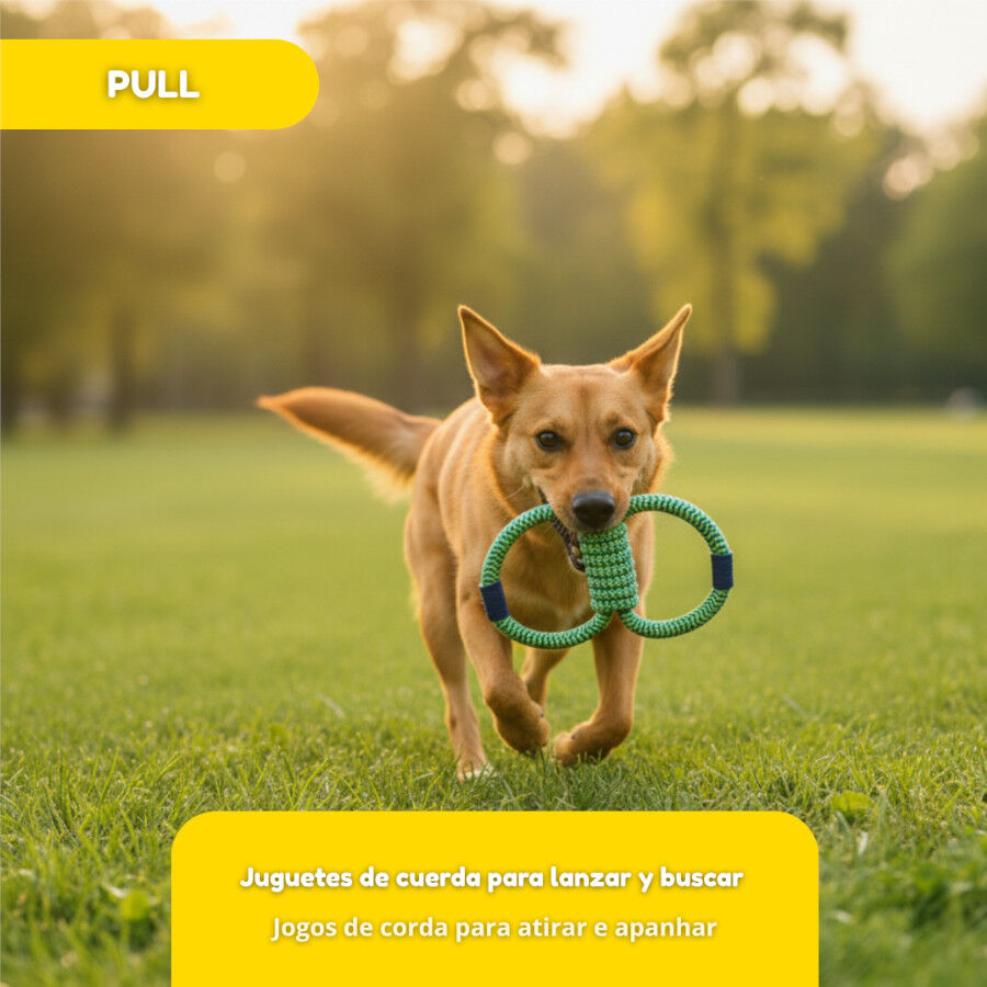 Tootoy! Mordedor de Cuerda Doble para perros, , large Imagen numero 5