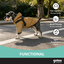 Gotoo Chaqueta Impermeable con Arn&eacute;s para perros, , large indicador imagen numero 6