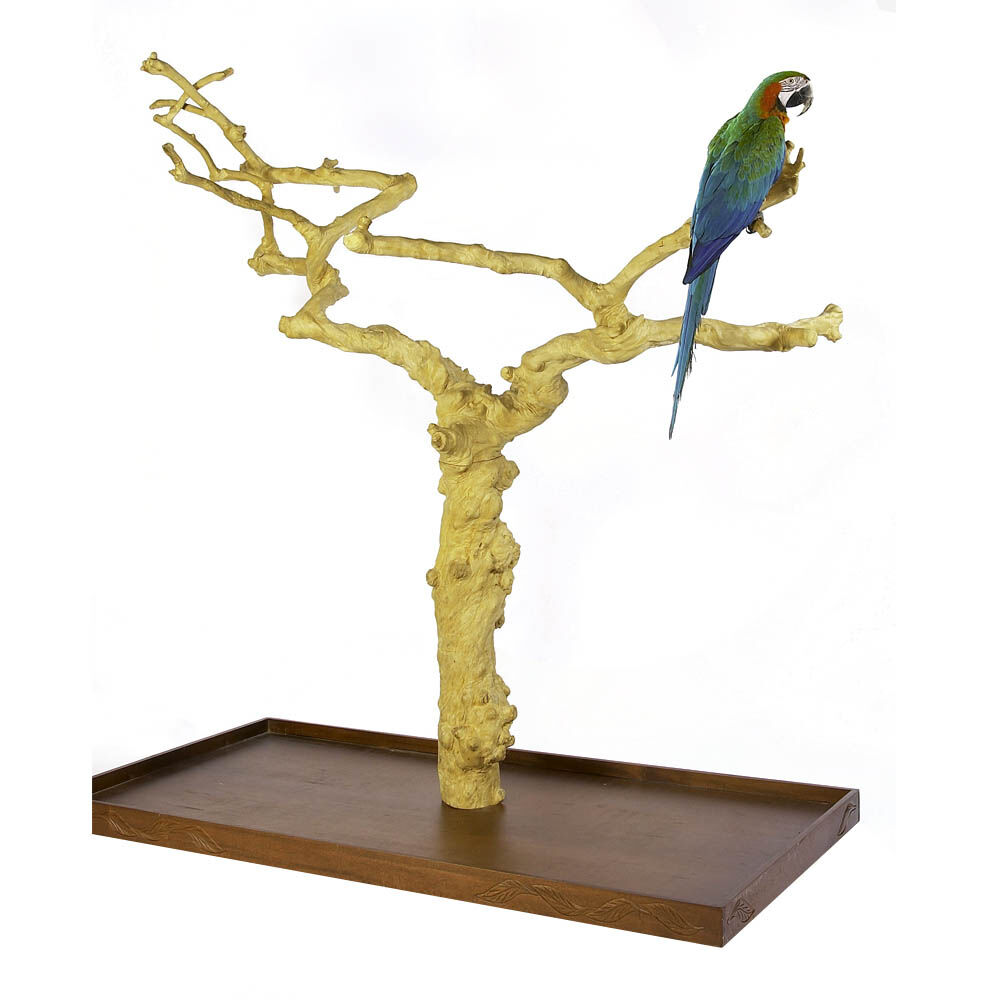 Javatree Java Tree Al para pájaro