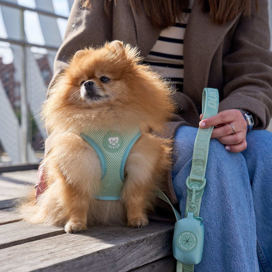 Dukier Body Essential Color Verde para perros, , large Imagen numero 2