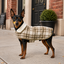 Gotoo Chaqueta Tart&aacute;n Cuadros para perros, , large indicador imagen numero 1