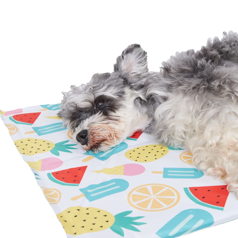 FOFOS | Alfombra Refrescante con Frutas Tropicales - Para Perro, , large Imagen numero 5