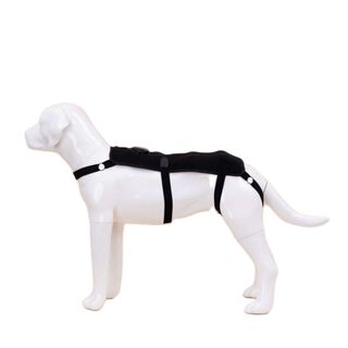 Petietec Aparato de masaje para la espalda para perros