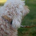 Collar Pamppy  Funny Leopardo amarillo para perros, , large image number null