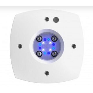 Aquaillumination AI Prime 16 HD Sol 59w luz LED blanca para acuarios