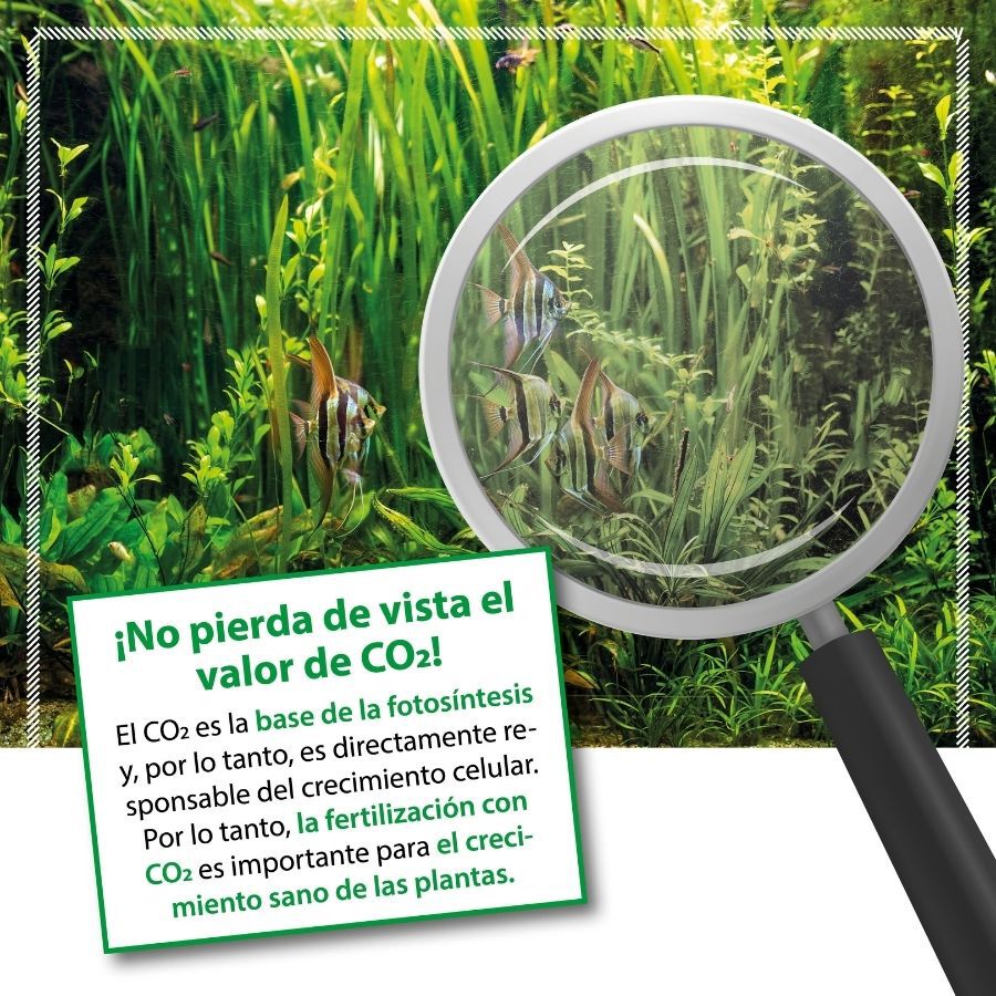 Arka Bio CO2 Fertilizante L&iacute;quido de Carbono para acuarios, , large Imagen numero 4