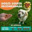 Suplemento 100% Natural 8 en 1 de Glucosamina Condroitina Probióticos MSM Colágeno Aceite de Salmón Mariscos Vitaminas y Omega 3 para Articulaciones Huesos Salud Flora Intestinal Digestiva para Perros, , large indicador imagen numero 5