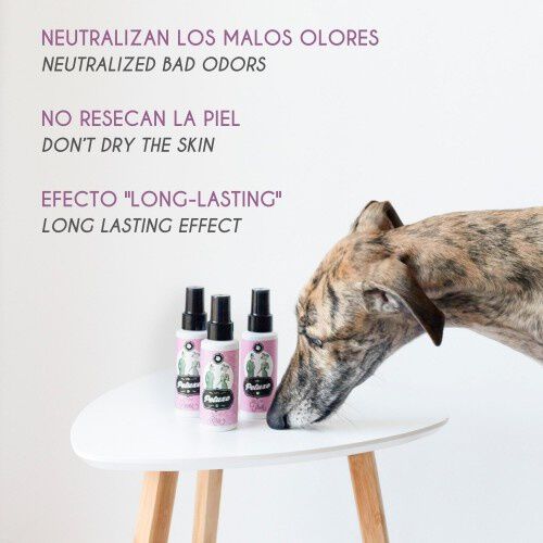 Petuxe kira perfume neutraliza olores para mascotas, , large Imagen numero 3