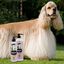 Petuxe Vegan Volumen Champú  sin parabenos para perros, , large indicador imagen numero 4