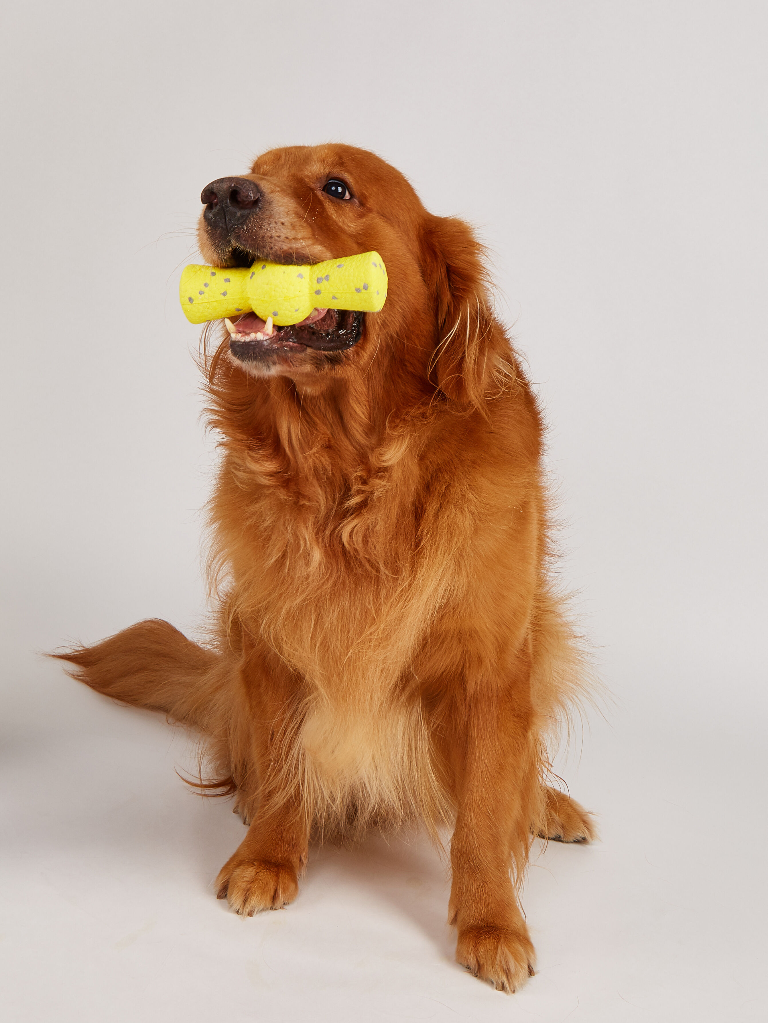 FOFOS Juguete para Perros Mighty Soft en Forma de Mancuerna &ndash; Suave, con Rebote y Flotante, , large Imagen numero 4