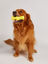 FOFOS Juguete para Perros Mighty Soft en Forma de Mancuerna &ndash; Suave, con Rebote y Flotante, , large indicador imagen numero 4