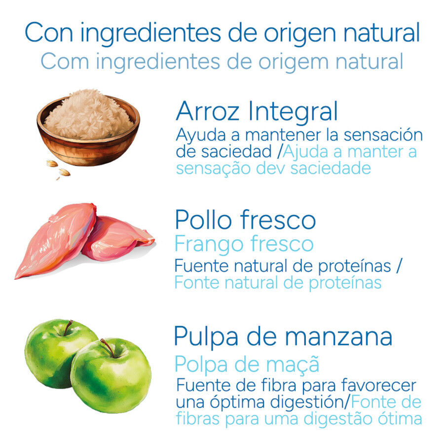 Criadores Cient&iacute;fico Adulto Pollo pienso para gatos, , large Imagen numero 5