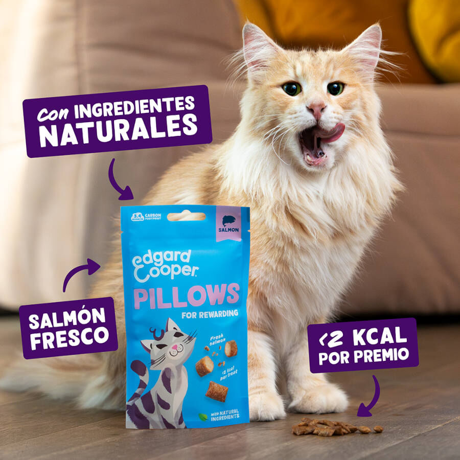 4 bolsitas x 60 g Edgard & Cooper Bocaditos Pillows de salmon para gatos &iexcl;Pack Ahorro!, , large Imagen numero 2