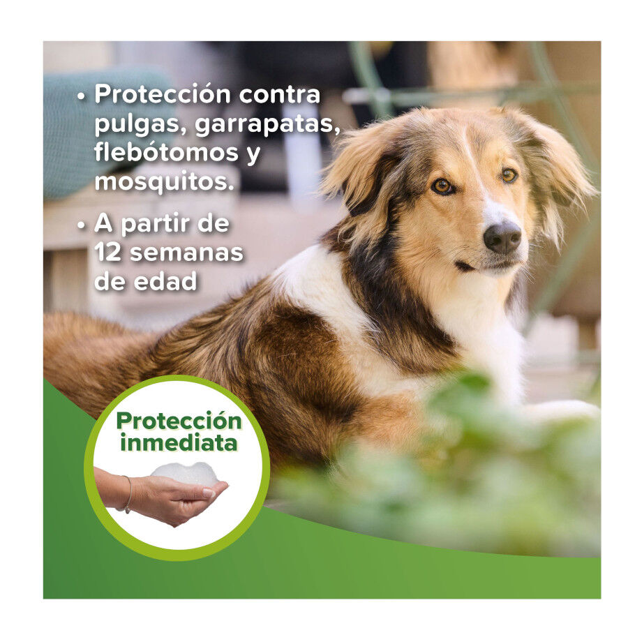 Beaphar Champ&uacute; Repelente para perros y gatos, , large Imagen numero 3