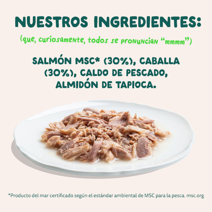 70 g Edgard & Cooper Filetes de Salm&oacute;n y Ceballa Lata para gatos, , large Imagen numero 6