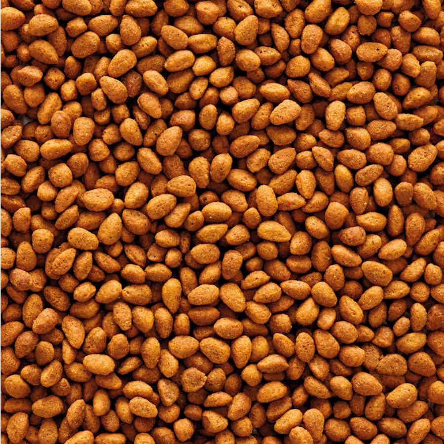 Versele-Laga NutriBird G14 Original Alimento para pájaros thumbnail