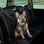 Arnés De Coche Para Mascotas, , large indicador imagen numero 8