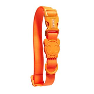Zeedog Neopro Collar Naranja Mandarina para Perros