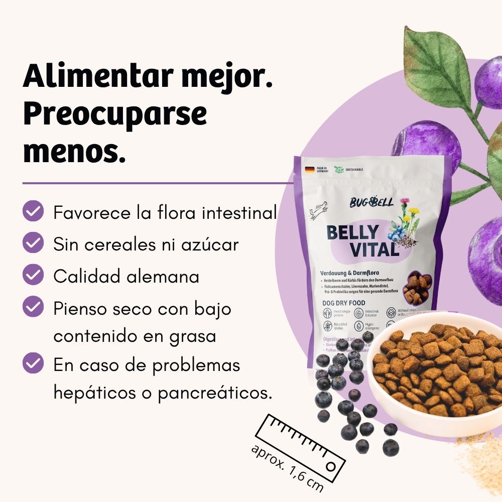 BugBell BellyVital Pienso 5&times;800 g &ndash; Hipoalerg&eacute;nico, sin cereales, con prote&iacute;na de insecto, psyllium, prebi&oacute;ticos y ar&aacute;ndanos, , large Imagen numero 2