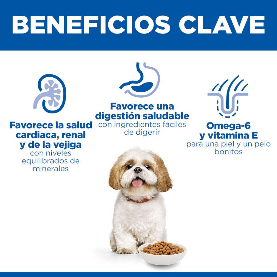 Hill&#039;s Science Plan Mature Adult Small y Mini pollo pienso para perros thumbnail