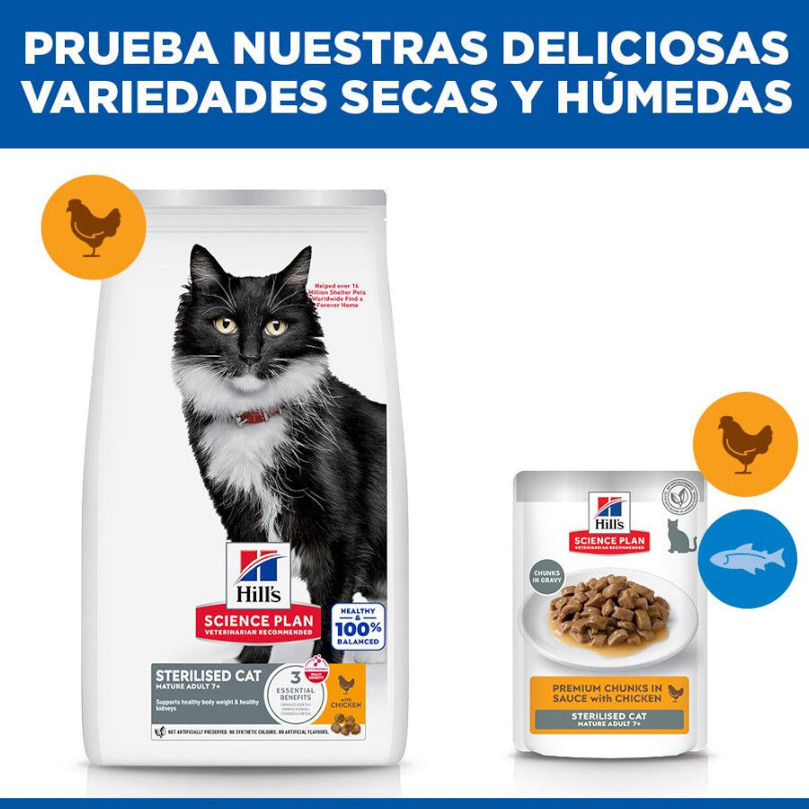 1.5 kg Hill's Science Plan Sterilised Mature Adult Pollo pienso para gatos, , large Imagen numero 8
