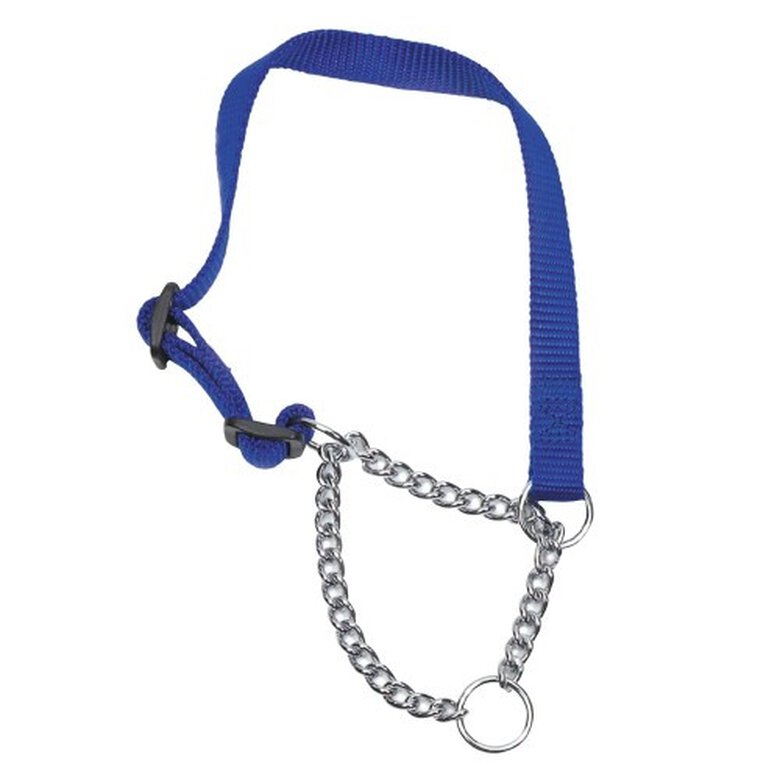 Ancol Pet Products Heritage Collar de Adiestramiento con Cadena para