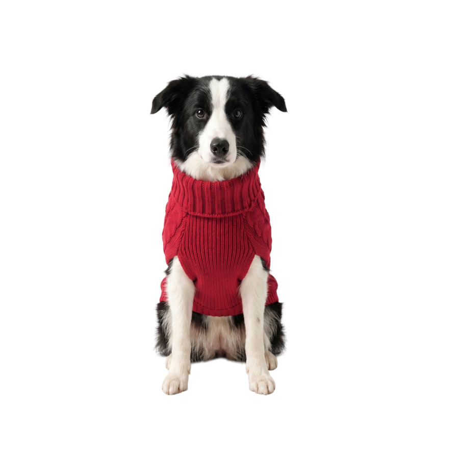 Gotoo Jersey de Punto Rojo para perros, , large Imagen numero 7
