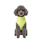 Gotoo Jersey Polar Verde Lima para perros, , large indicador imagen numero 7