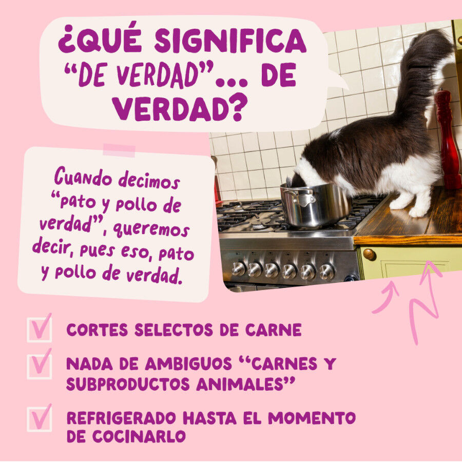 85 g Edgard & Cooper Kitten Pato y Pollo sobre en salsa para gatos, , large Imagen numero 5