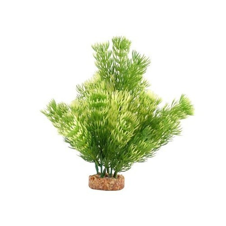 Planta artificial Cabomba 20 cm color Verde, , large image number null